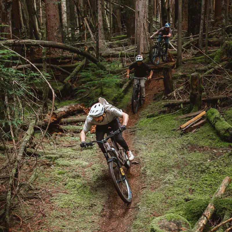 Schwalbe Romy Trail Pro Radial TLR 29x2.50 Folding Tyre  in Black-4