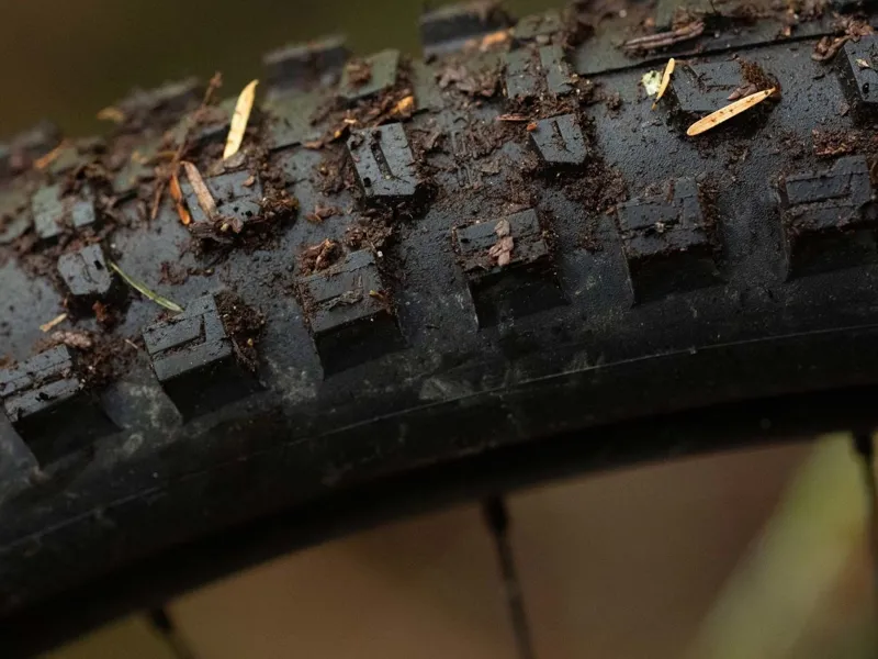 Schwalbe Romy Trail Pro TLR Soft Radial 29x2.50 Folding Tyre in Black-2