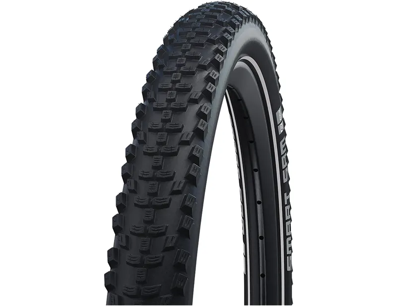 Schwalbe Smart Sam Performance Double Defense RaceGuard Tyre 29x2.60 in Black