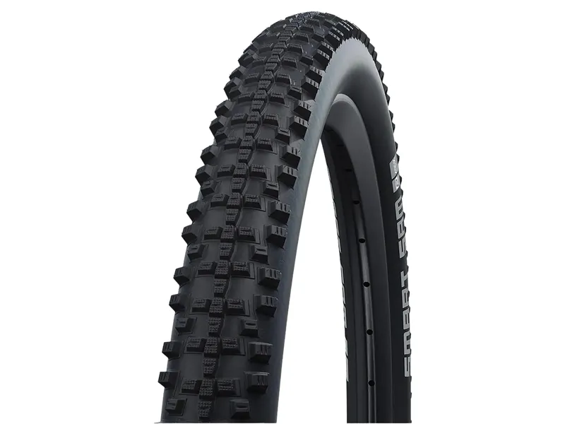 Schwalbe Smart Sam Performance E-25 Tyre 24x2.35 in Black