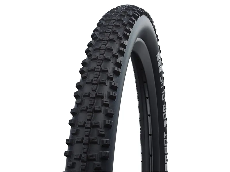 Schwalbe Smart Sam Plus 650b Tyre in Black