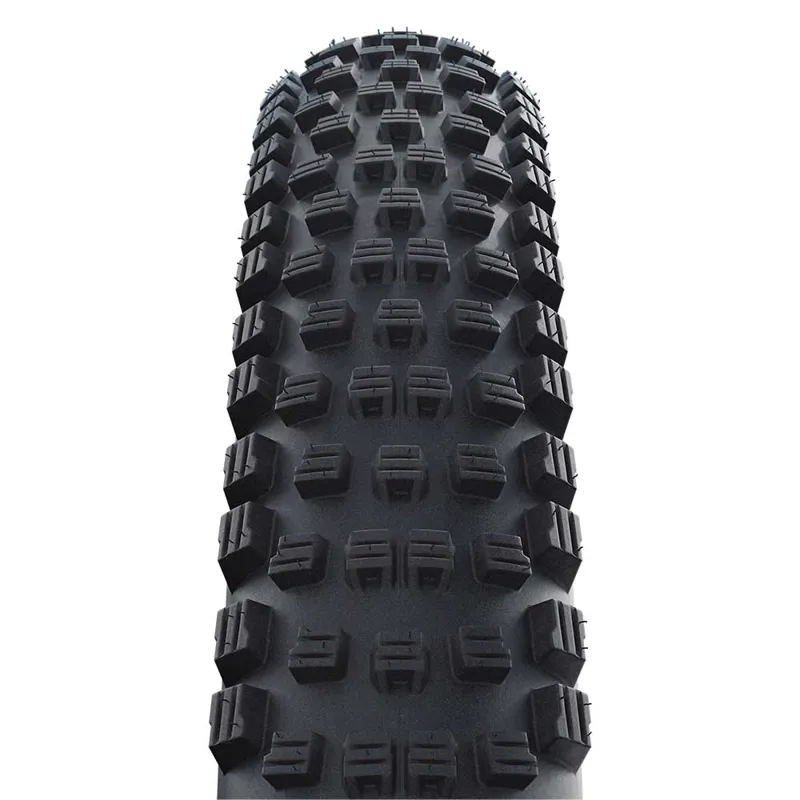 Schwalbe Wicked Will Performance Folding Tyre 29 Inch in Black-1