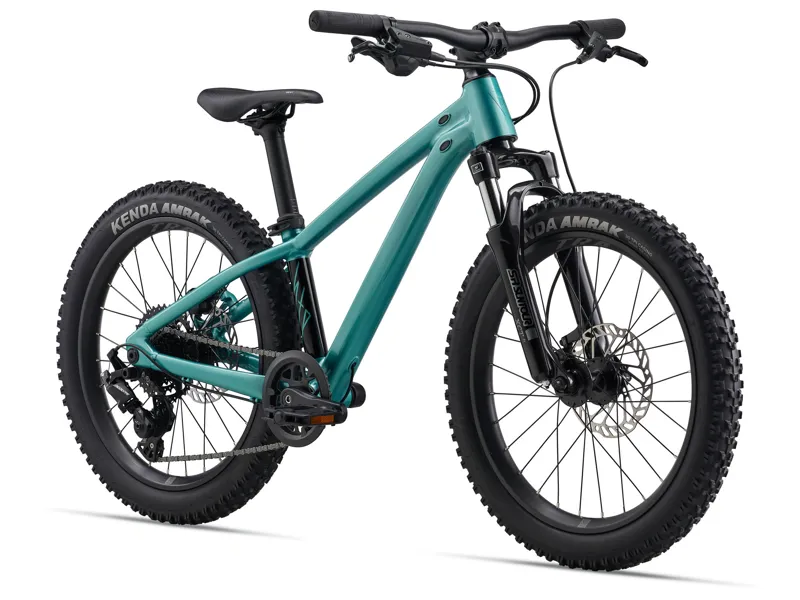 Giant STP 20 FS Kids Jump Bike 2026 in Teal-1