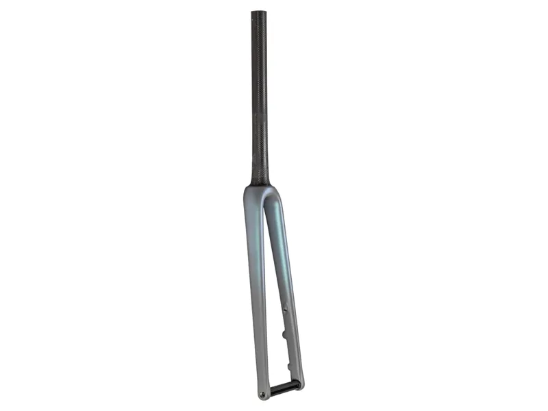 Specialized Fork MY22 Aethos Switch 700C Ta Carbon 12X100MM Disc 44mm Offset Sizes 54/56 Clgry/Cmlneyrs/Brshcp