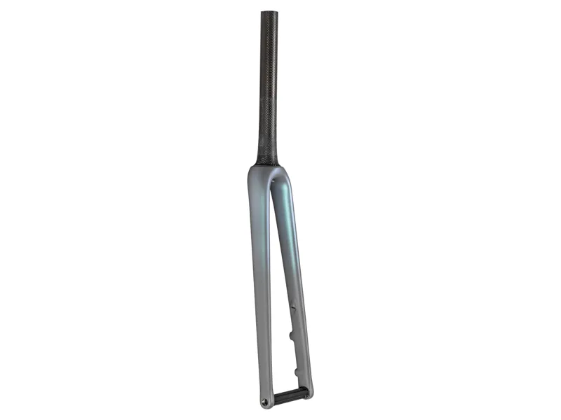 Specialized Fork MY22 Aethos Switch 700C Ta Carbon 12X100MM Disc 47mm Offset Sizes 49/52 Clgry/Cmlneyrs/Brshcp