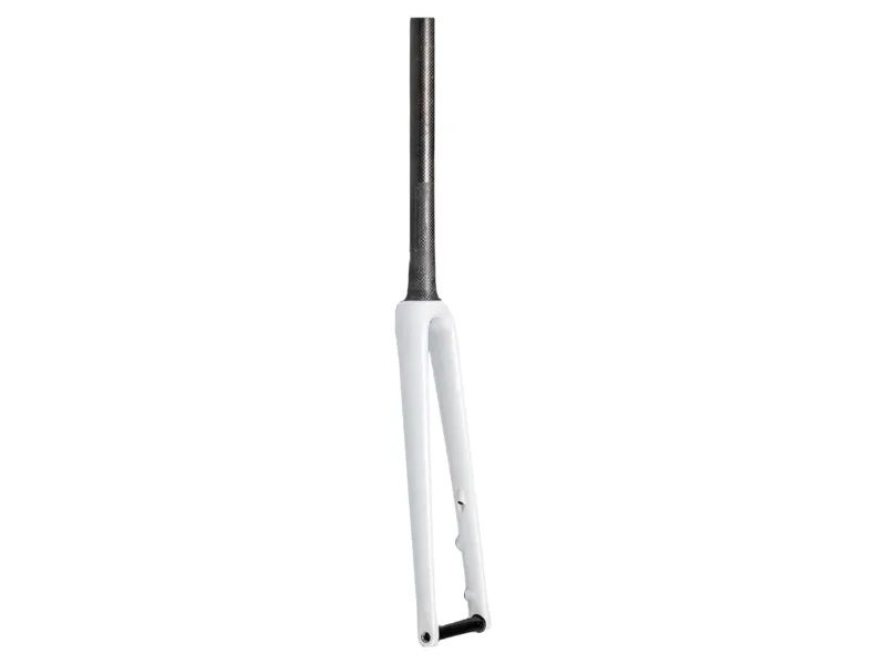 Specialized Fork MY23 Switch Aethos 700C Ta Carbon 12X100MM Disc 44mm Offset Sizes 54/56CM-BRCH/ABLN/DUNEWHT
