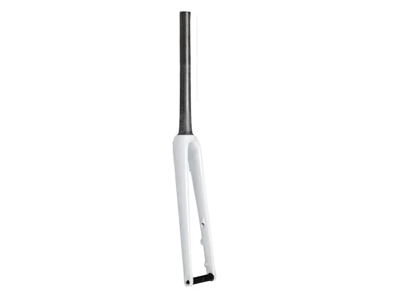 Specialized Fork MY23 Switch Aethos 700C Ta Carbon 12X100MM Disc 44mm Offset Sizes 58/61CM-BRCH/ABLN/DUNEWHT