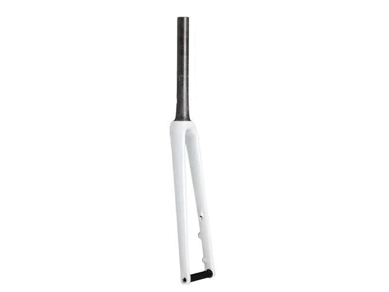 Specialized Fork MY23 Switch Aethos 700C Ta Carbon 12X100MM Disc 47mm Offset Sizes 49/52CM-BRCH/ABLN/DUNEWHT