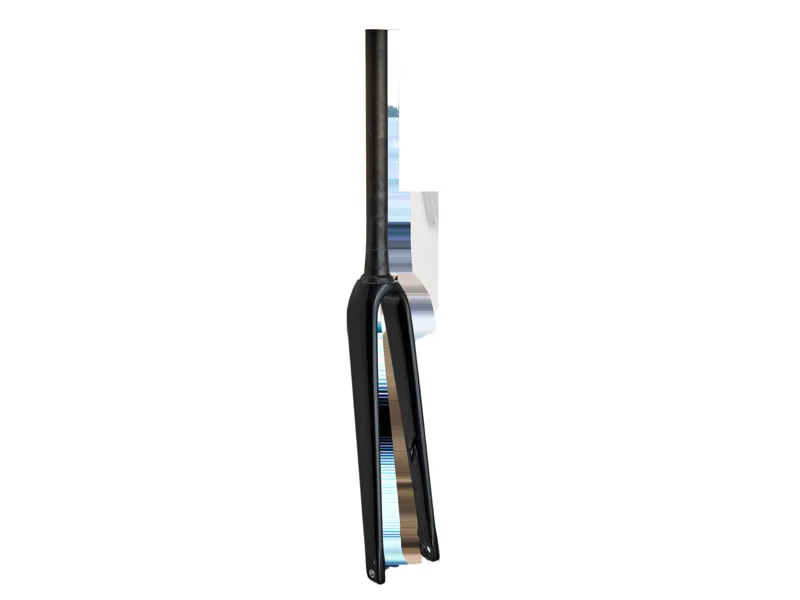 Specialized Fork MY23 Allez E5 Disc 700C Ta Carbon 12X100MM Disc Flat Mount 47mm Offset - Gloss Black V2