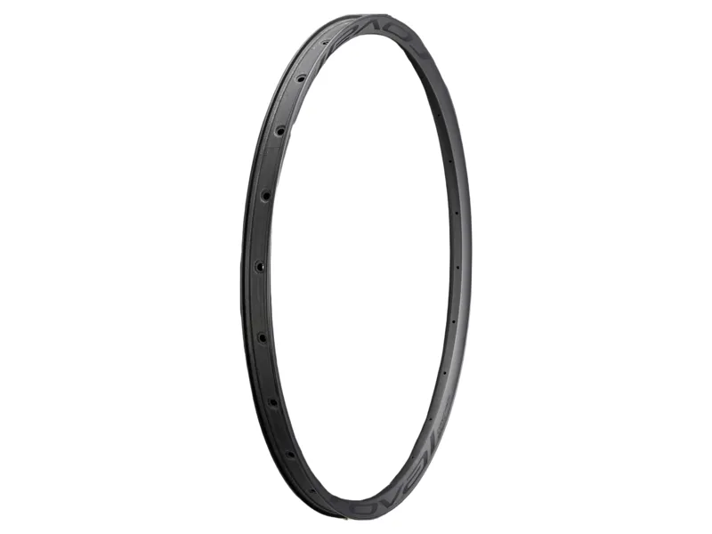 Specialized Rim MY21 Control SL 29 Front and Rear Carbon 24H Disc 29mm Internal WC031 - Satin Carbon W/ Black Decal