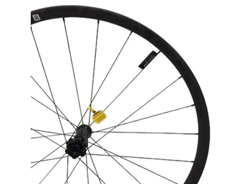 Specialized Wheel MY17 Control 29 Carbon Front Ta 15X110MM Disc 6-BOLT 24H LFM15-110 - Satin Carbon W/ Black Dcl