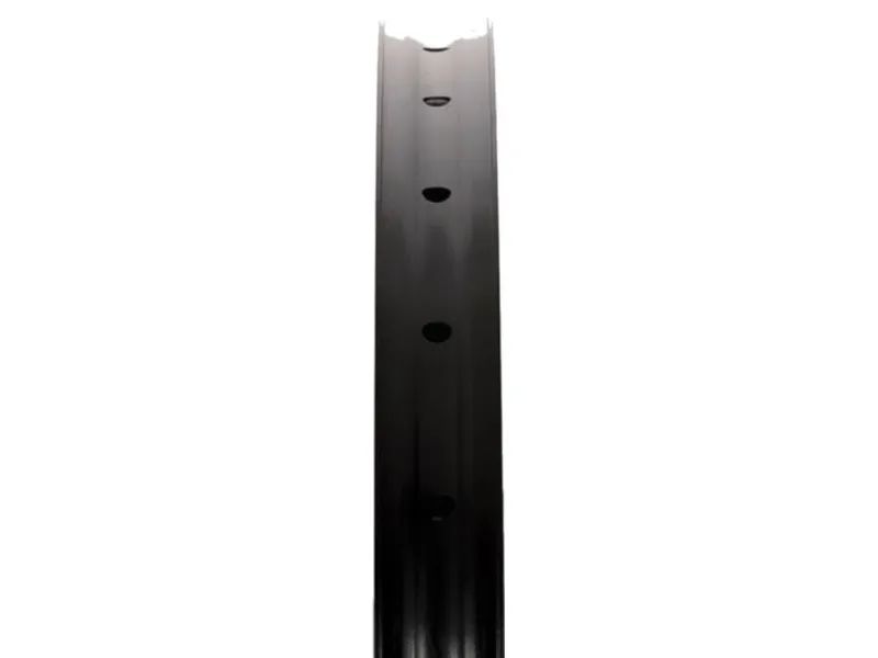 Stans Flow EX3 Rim 29 inch 32H in Black-1