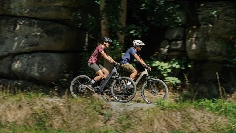 Cube Reaction Hybrid Pro 800 Electric Aluminium MTB 2027 in Silverdust/Prism-10