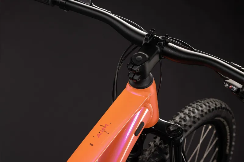 Cube Aim One 2027 L 2027 in Salmon/Black-5