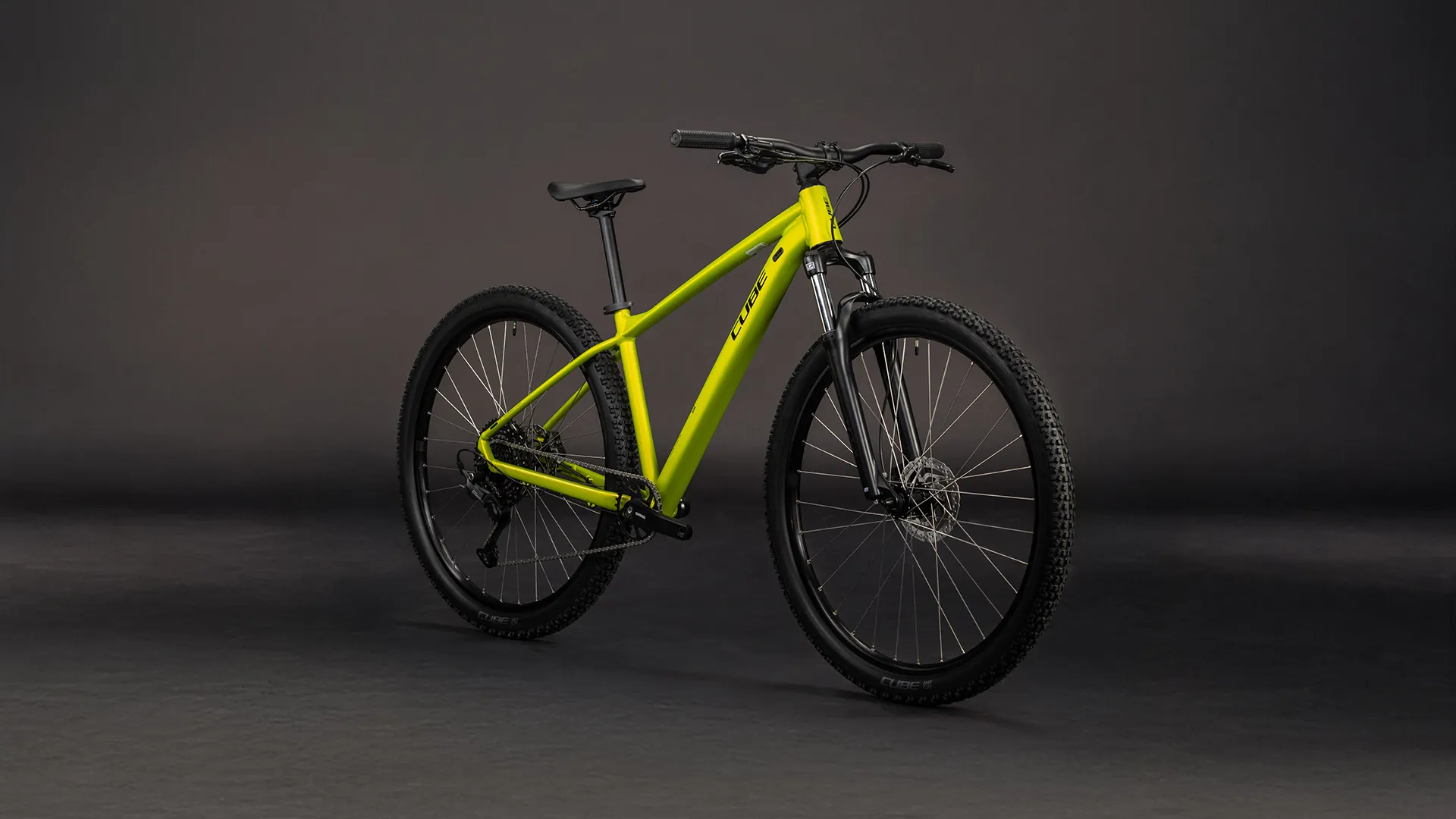 Cube Aim Pro Hardtail Mountain Bike 2026 in Lizard/Black