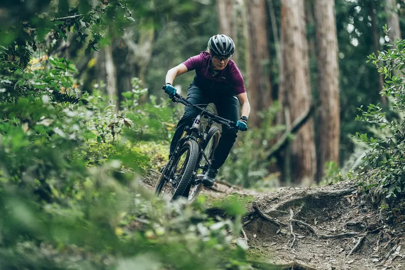 Teravail Camrock 29 inch Durable Tubeless Ready Folding Bead 60Tpi Tire Black/Tan-4