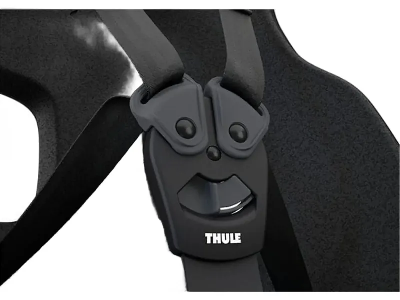 Thule Yepp Nexxt 2 Maxi Rack Mount Childseat in Black-4