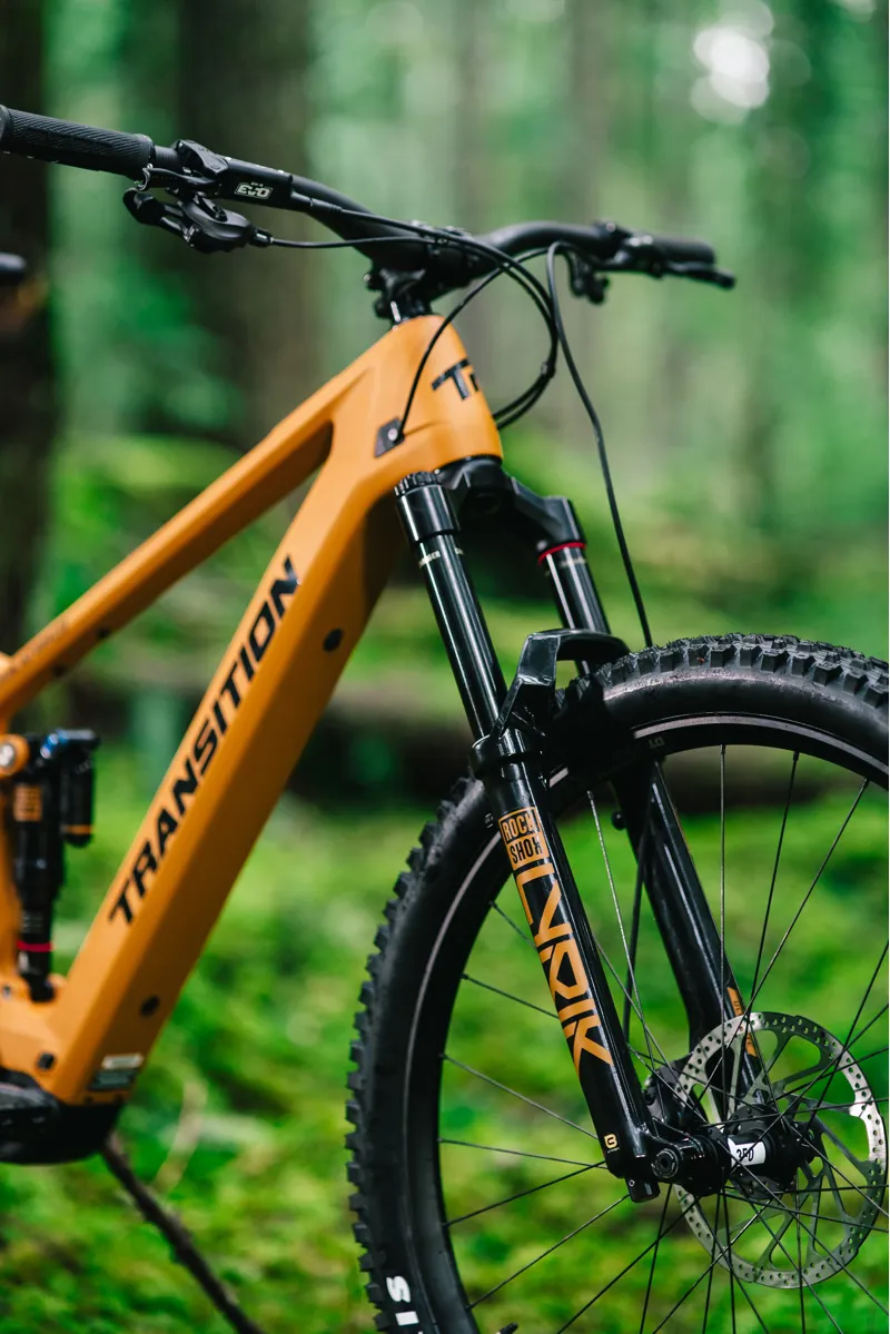 Transition Regulator SX XT Mullet Electric Full Sus Carbon MTB 2025 in Madrone Gold-10