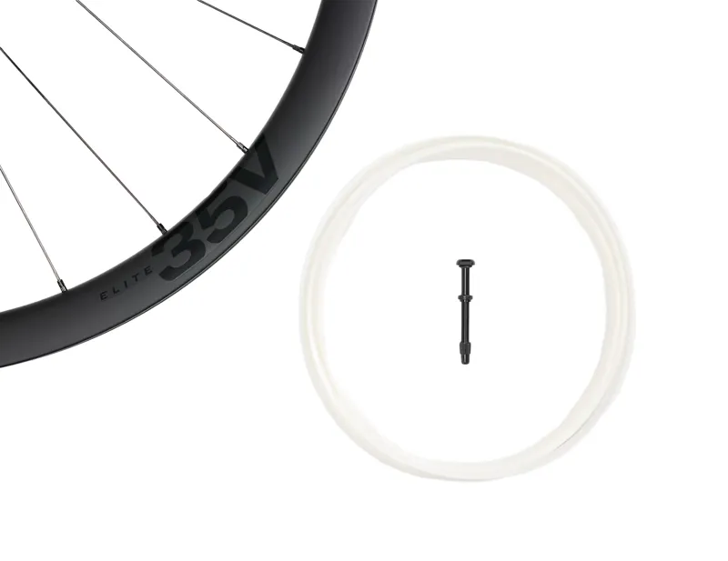 Bontrager Aeolus Elite 35V Disc TLR Front Wheel in Black-4