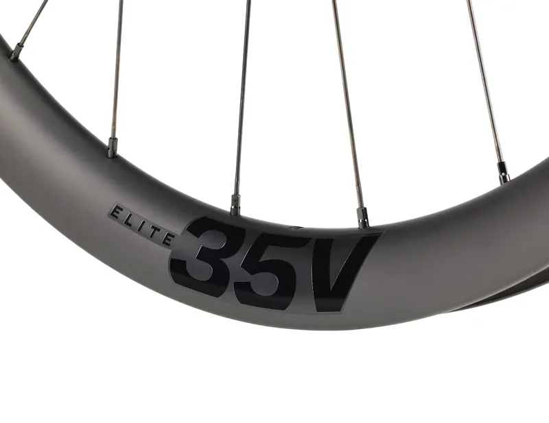 Bontrager Aeolus Elite 35V Disc TLR Rear Wheel in Black-2