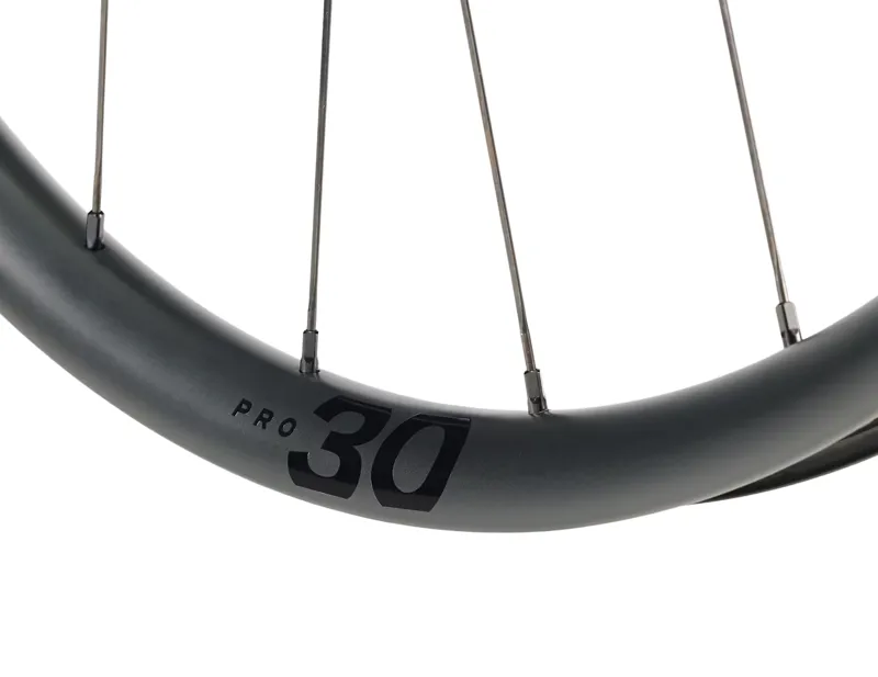 Bontrager Paradigm Pro 30 TLR Disc Front Wheel in Black-1