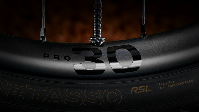 Bontrager Paradigm Pro 30 TLR Disc Front Wheel in Black-3