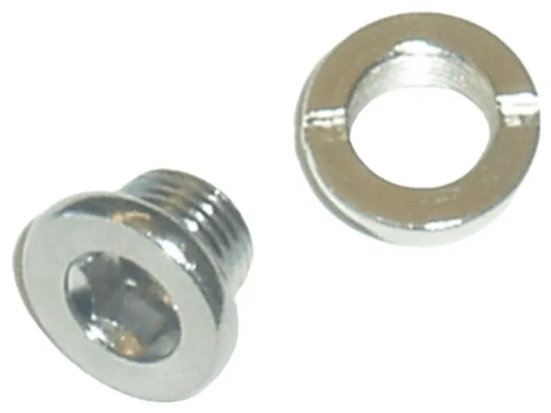 Trek Chainring-Style Derailleur Hanger Fastener in Grey
