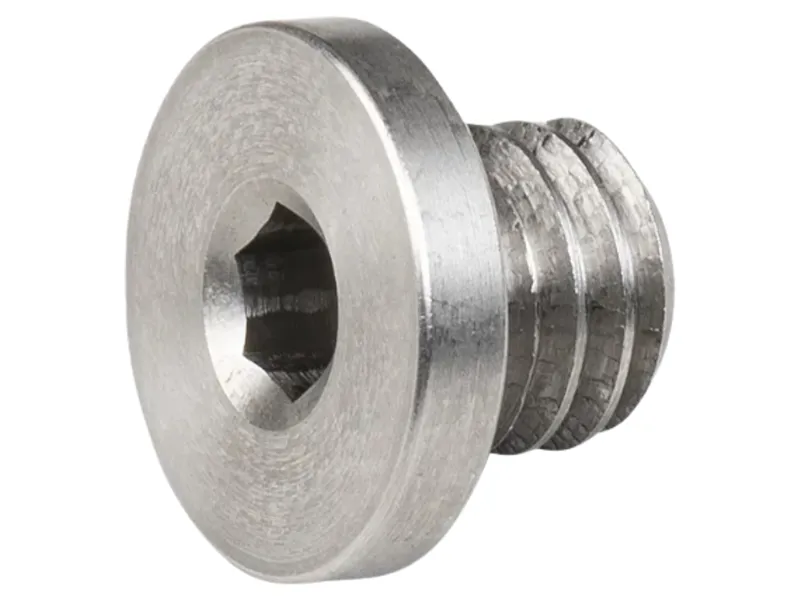 Trek Derailleur Hanger Button Head Bolt 6x4mm