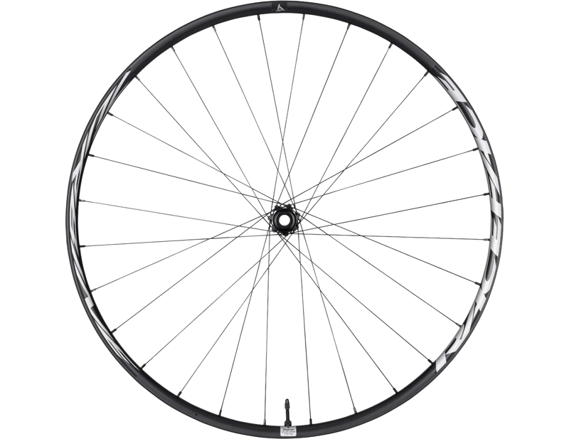 Race Face Turbine 30mm 29in 15x110 Center Lock Front Wheel in Black