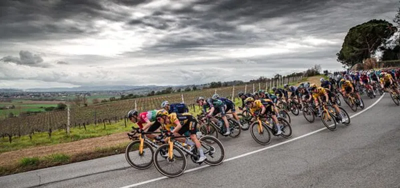 Vittoria Corsa Pro 700x29c TLR Wide Rim G2.0 Tubeless Ready Road Tyre in Tan Wall-3