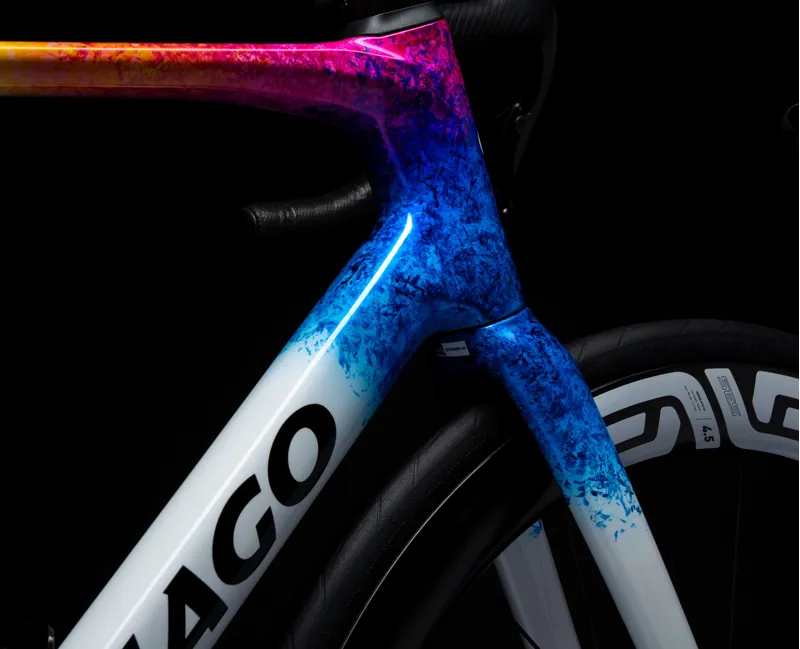 Colnago V5RS Disc 2026 Carbon Road Frameset in STNT White-6