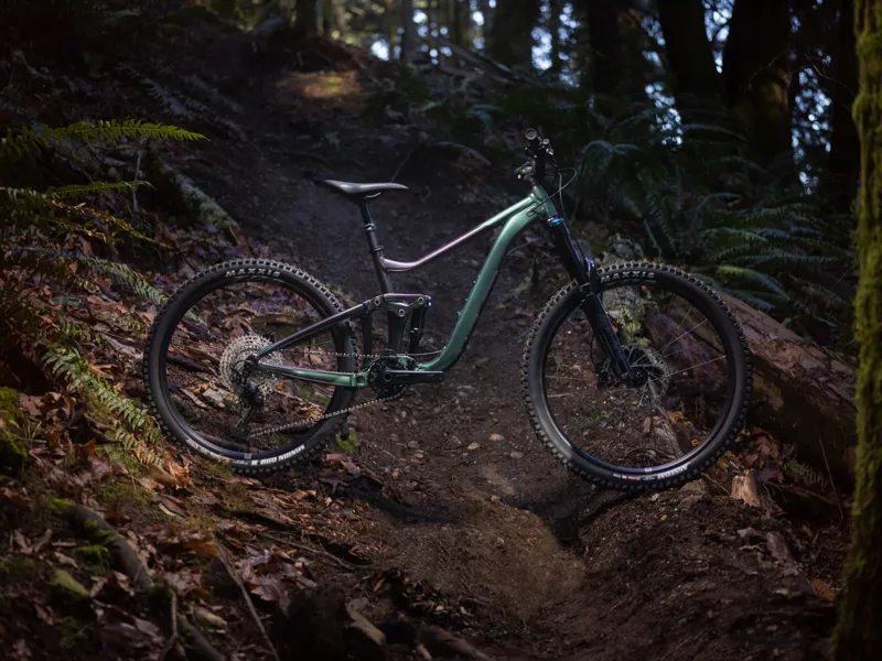 Giant Reign 2 Full Suspension Mountain Bike 2026 in Mineral Green-1