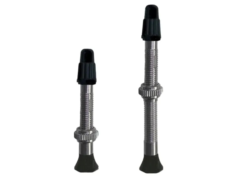 Vittoria 40mm Tubeless Presta Valve Set in Silver