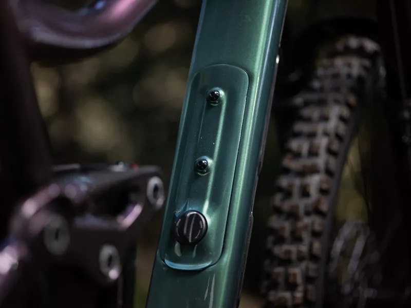 Giant Reign 2 Full Suspension Mountain Bike 2026 in Mineral Green-5