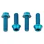 Wolf Tooth 4-piece Water Bottle Cage Bolts in Teal