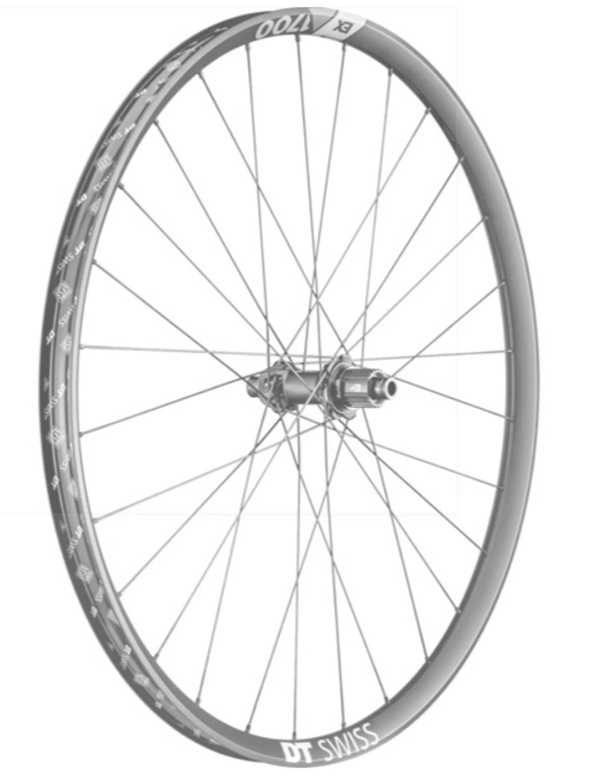 DT Swiss EX 1700 29 Inch Rear Wheel Boost Axle Micro Spline