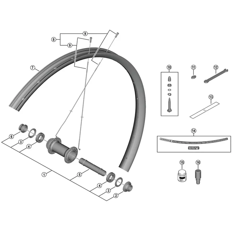 Shimano WH-M8200-TL-R12-B-29 spoke and nipple