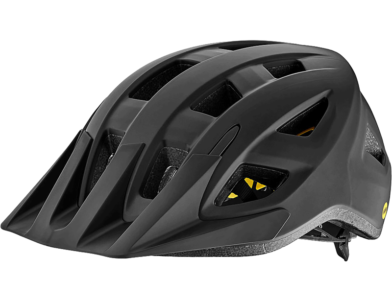 Giant Path MIPS Helmet in Black