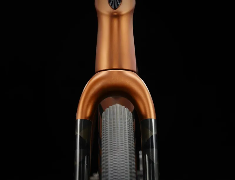 Trek Checkpoint SL 5 Gravel Bike 2024 in Matte Pennyflake-6